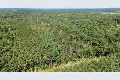 Lot F Hayes Road, Mecosta, MI 49332 - Photo 12