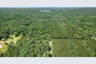 Lot F Hayes Road, Mecosta, MI 49332 - Photo 8