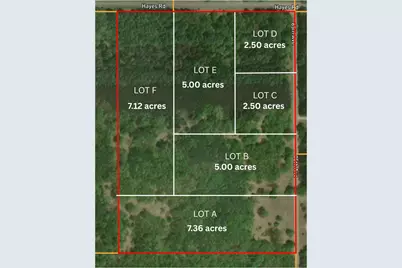 Lot F Hayes Road, Mecosta, MI 49332 - Photo 4