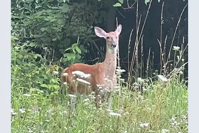 0000 Oak Ridge Hills #7, Marshall, MI 49068 - Photo 2