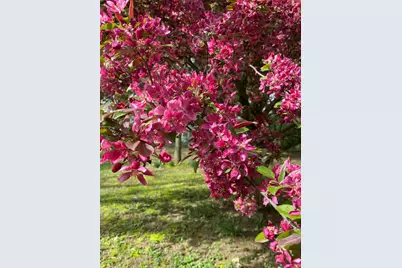 9791 S Hillsdale Road, Hillsdale, MI 49242 - Photo 6