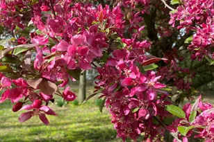 9791 S Hillsdale Rd, Hillsdale, MI 49242 - Photo 6