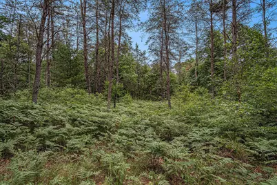 4177 S Michway, Baldwin, MI 49304 - Photo 12