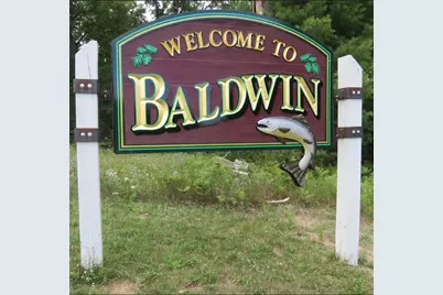 4177 S Michway, Baldwin, MI 49304 - Photo 2