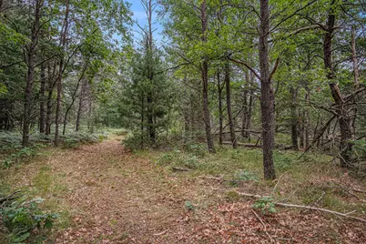 4177 S Michway, Baldwin, MI 49304 - Photo 14