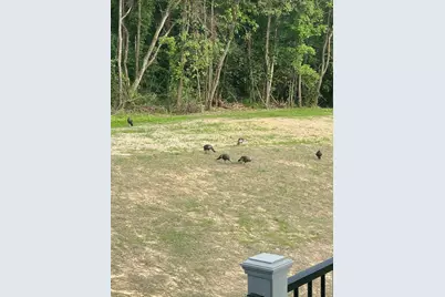 60171 M 43, Bangor, MI 49013 - Photo 74