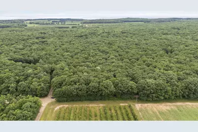 V/L W Woodrow Road, Shelby, MI 49455 - Photo 2
