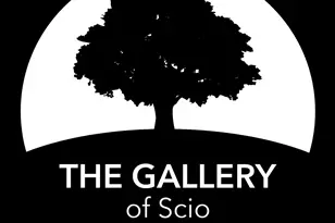 #53 Loon Ln, Ann Arbor, MI 48103 - Photo 52