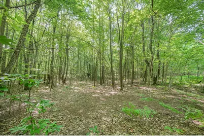 V/L 120th Ave, Hersey, MI 49639 - Photo 2