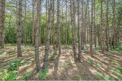 V/L 120th Ave, Hersey, MI 49639 - Photo 16