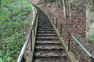 1306 N Tippy Dam Rd, Wellston, MI 49689 - Photo 86