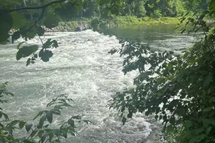 1306 N Tippy Dam Rd, Wellston, MI 49689 - Photo 84