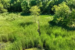 108 S Cove St, Jackson, MI 49203 - Photo 42