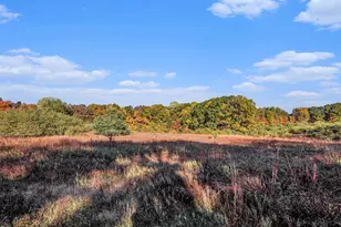 9308 W Guernsey Lake Road Rd, Delton, MI 49046 - Photo 66