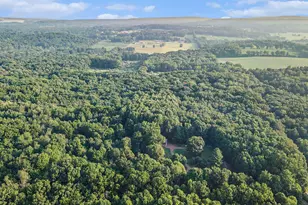 9308 W Guernsey Lake Road Rd, Delton, MI 49046 - Photo 52