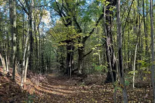 9308 W Guernsey Lake Road Rd, Delton, MI 49046 - Photo 60