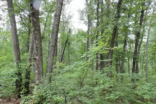 9773 N Woodbridge Ave, Bitely, MI 49309 - Photo 38