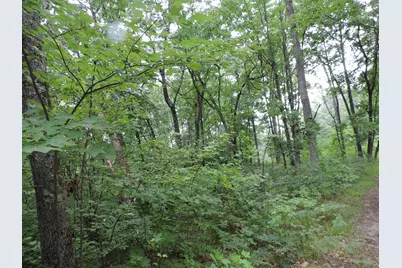 9773 N Woodbridge Avenue, Bitely, MI 49309 - Photo 46
