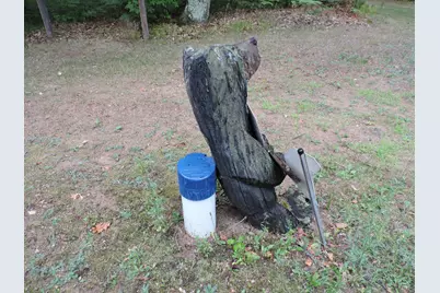 9773 N Woodbridge Avenue, Bitely, MI 49309 - Photo 28