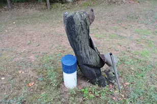 9773 N Woodbridge Ave, Bitely, MI 49309 - Photo 28