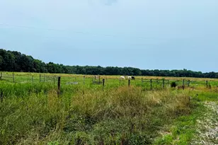 8552 Dan Smith Rd, Watervliet, MI 49098 - Photo 34