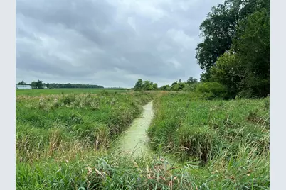 10800 South Road, Waldron, MI 49288 - Photo 22