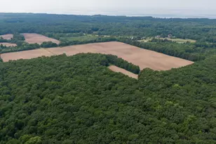 19701 Kluver Rd, New Buffalo, MI 49117 - Photo 10