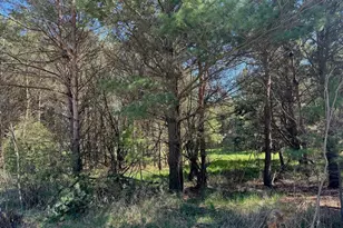 5 Hancock Rd, Montague, MI 49437 - Photo 1