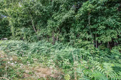 V/L Twin Shores Drive, Dowagiac, MI 49047 - Photo 6