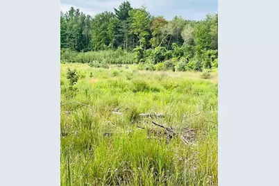 264 S 152nd Avenue #- 20 Acres Vacant Land - North, Shelby, MI 49455 - Photo 16