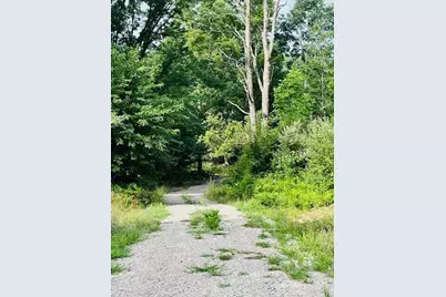 264 S 152nd Avenue #- 20 Acres Vacant Land - North, Shelby, MI 49455 - Photo 14