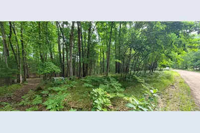 Vl Trail Of The Lakes, Baldwin, MI 49304 - Photo 14