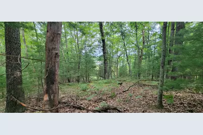 Vl Trail Of The Lakes, Baldwin, MI 49304 - Photo 12