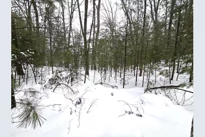 Vl Trail Of The Lakes, Baldwin, MI 49304 - Photo 4