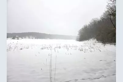 Vl Trail Of The Lakes, Baldwin, MI 49304 - Photo 8