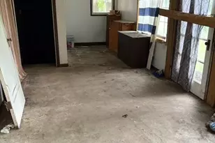 253 Main St, Walkerville, MI 49459 - Photo 8