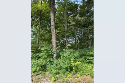 14672 Crest View Court, South Haven, MI 49090 - Photo 6