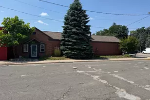 177 S Benson St, White Cloud, MI 49349 - Photo 1