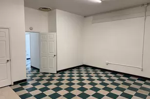 177 S Benson St, White Cloud, MI 49349 - Photo 12