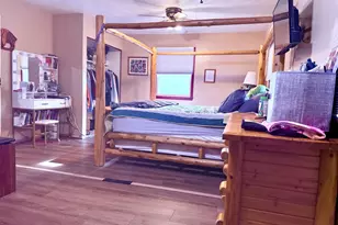 20461 Spruce Rd, Big Rapids, MI 49307 - Photo 16