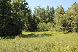 2536 E Gogomain Rd, Pickford, MI 49774 - Photo 34