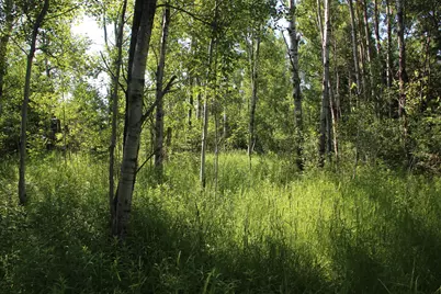 2536 E Gogomain Road, Pickford, MI 49774 - Photo 48