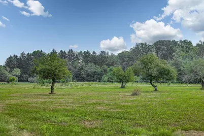 19839 Witt Road, Three Oaks, MI 49128 - Photo 4