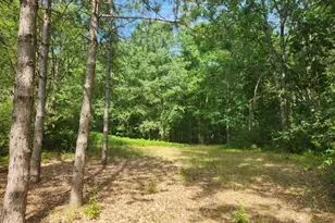 V/L S Riverbend Rd, Branch, MI 49402 - Photo 2