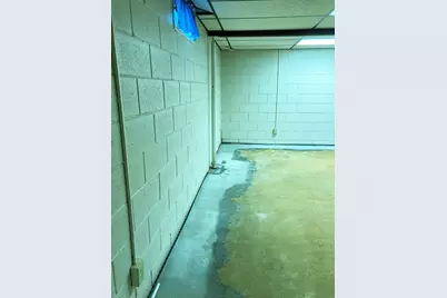 503 W Gilson Street, Edmore, MI 48829 - Photo 46