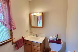 10910 North Dr, Fowler, MI 48835 - Photo 20