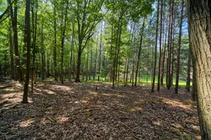 2521 Crescent Beach Rd, Manistee, MI 49660 - Photo 56