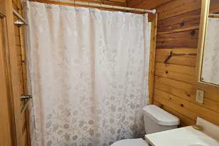 27898 N-Drive S, Homer, MI 49245 - Photo 22