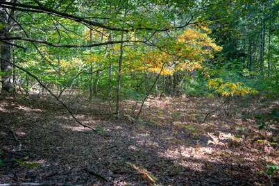 V/L 2.46A E White River Drive, Hesperia, MI 49421 - Photo 22