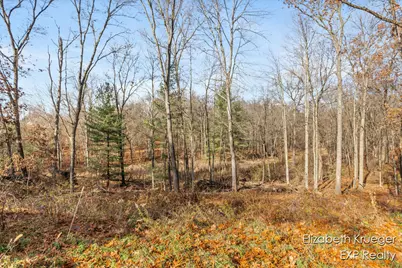 8965 Vergennes Street SE, Ada, MI 49301 - Photo 2